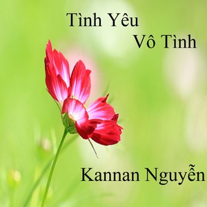 Tình Yêu Vô Tình