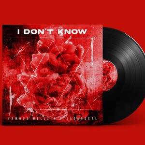 I Dont Know (IDK) (feat. VisaGangCal) [Explicit]