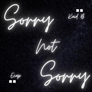 Sorry Not Sorry (feat. ecap) [Explicit]