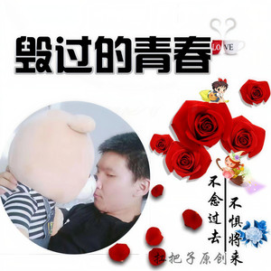 毁过的青春 (伴奏)