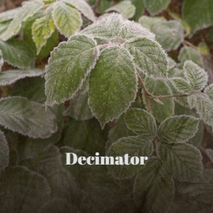 Decimator