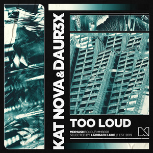 Too Loud (Extended Mix)