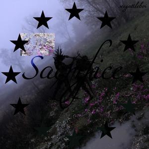 Sacrifice (feat. IcePrinceBaby) (Explicit)