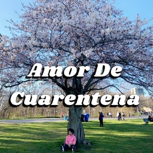 Amor De Cuarentena