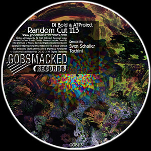 Wicked Cheese (Sven Schaller Remix)