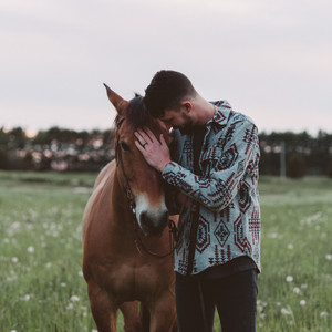 Mustangs & Thoroughbreds, Vol. 2