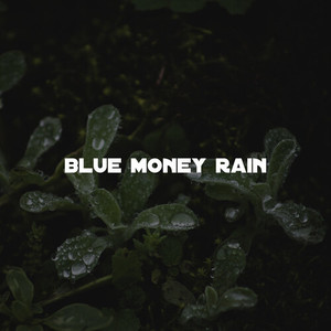 Blue Money Rain