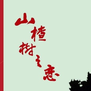 山楂树之恋-大石桥联盟
