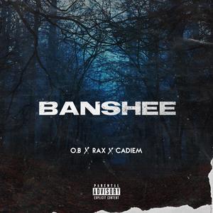 Banshee(feat. Spectrax)