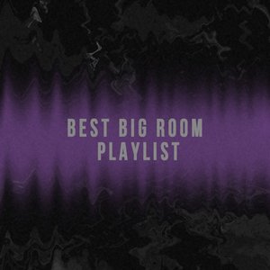 Best Big Room Playlist (Explicit)