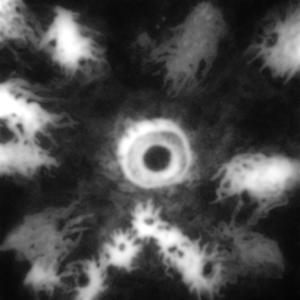 SOULJA BOUNCE (FREEBIE)