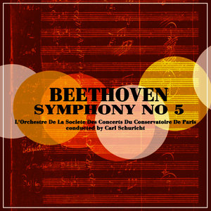Symphony No. 5 In C Minor, Op. 67: II. Andante Con Moto