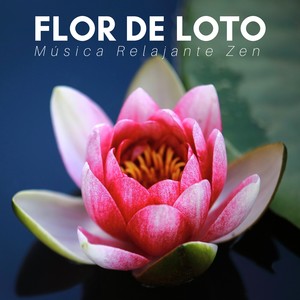 Flor de Loto: Música Relajante Zen de Meditación para la Paz y la Armonía, Antistres