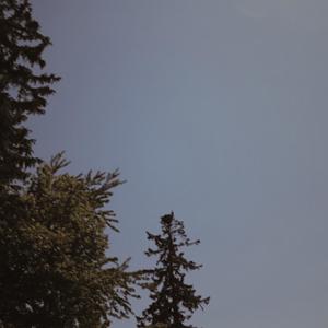 Wear Your Autumn Flannel