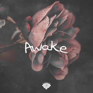 Awake