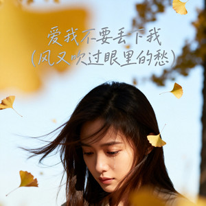 爱我不要丢下我(风又吹过眼里的愁)
