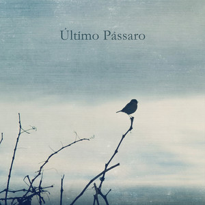 Último Pássaro