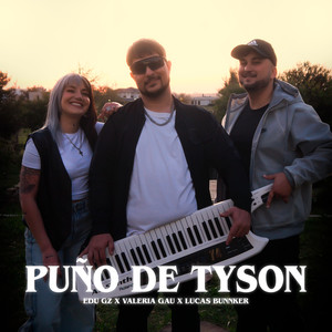 Puño De Tyson