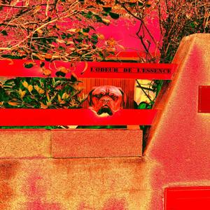 l'odeur de l'essence (Explicit)