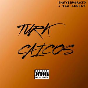 Turk Caicos (feat. TLA Ceejay) (Explicit)