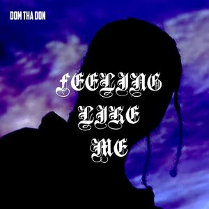 Feeling Like me (Explicit)