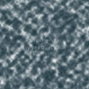 Evolving Quiet Fields