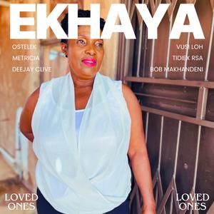 Ekhaya (feat. Metricia, Bob Makhandeni, Tidiex, Deejay Clive & Vusi LoH|Explicit)