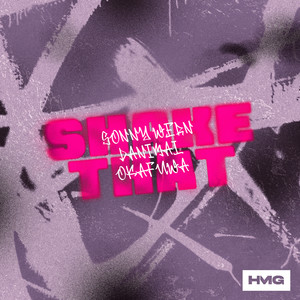 Shake That (Explicit)