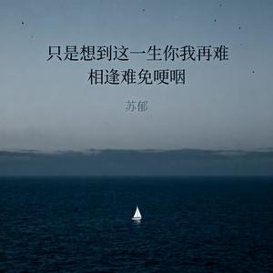 只是想到这一生你我再难相逢难免哽咽