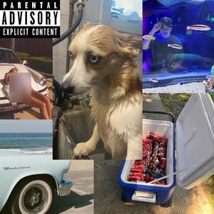 THE BRIM TAPES, Vol. 2 (Explicit)