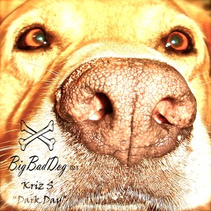 Dark Day (Original Mix)