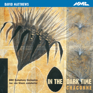 David Matthews: In the Dark Time, Op. 38 & Chaconne, Op. 43