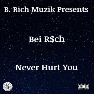 Never Hurt You (Explicit)