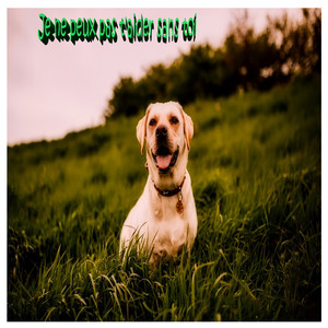 Boniface - Je ne peux pas t'aider sans toi