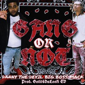 Gang Or Not (feat. Danny the Devil & Big Boss Mack) [Explicit]