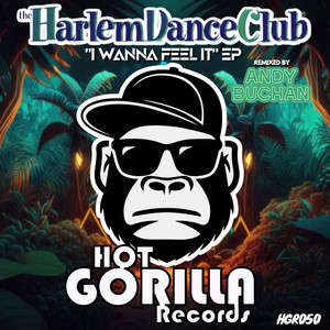 I Wanna Feel It (Extended Mix)