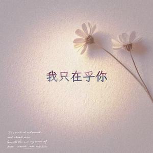 我只在乎你 (R&B版)