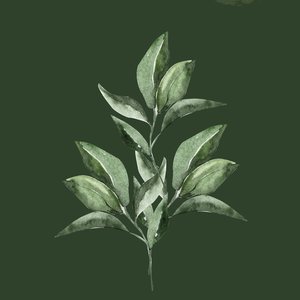 静候佳音 - 无与伦比封面