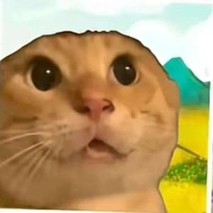 ACH - 囊囊囊囊囊