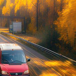 driving home from school