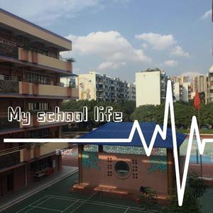 My school life