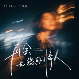 再会无缘的情人 (DJ粤A版) - 菲儿封面
