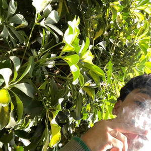 LEY Y ORDEN (feat. Tabash) (Explicit)