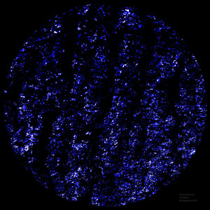 Mutagenesis EP