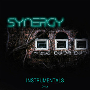 Synergy (Instrumentals)