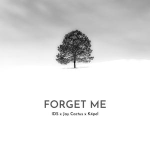 Forget Me (feat. Jay Cactus & K4pel)
