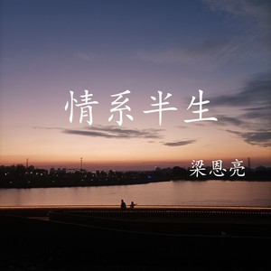 情系半生