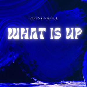 what is up (feat. Valious)