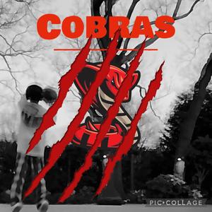 Starlight (feat. Cartier & Trey web) (Explicit)