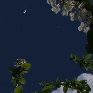 You Couldn't Save Me, But You Can't Let Me Go (Sped Up) - NDA (Explicit)